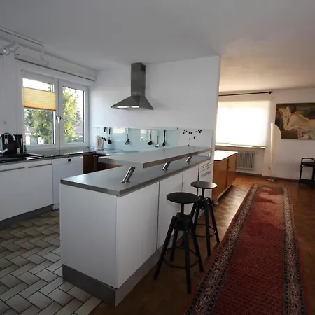 Loft Irma Mit Grosser Terasse * Heddesheim